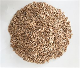 Siyez Buğdayı Dövmesi 500 gr
